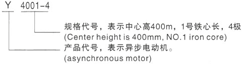 西安泰富西玛Y系列(H355-1000)高压YJTFKK4502-8-250KW三相异步电机型号说明