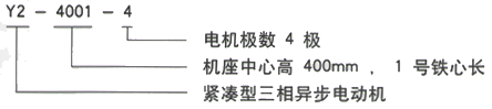 YR系列(H355-1000)高压YJTFKK4502-8-250KW三相异步电机西安西玛电机型号说明